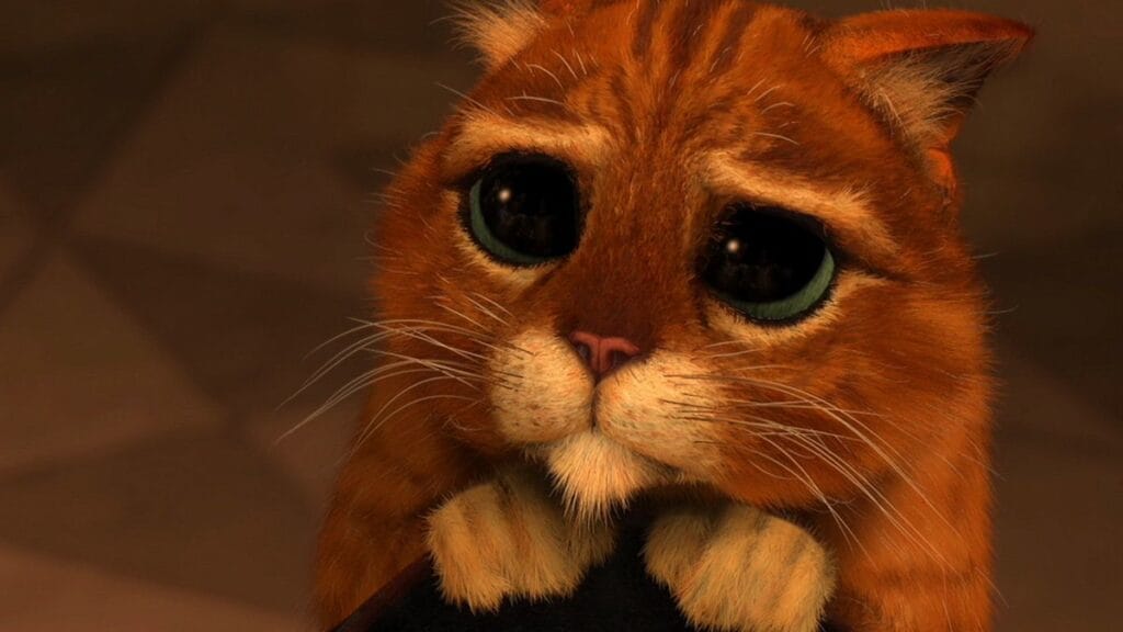 chat potte