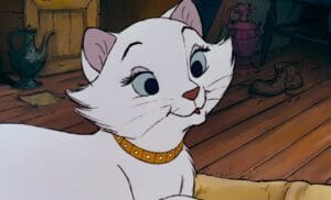 duchesse aristochats