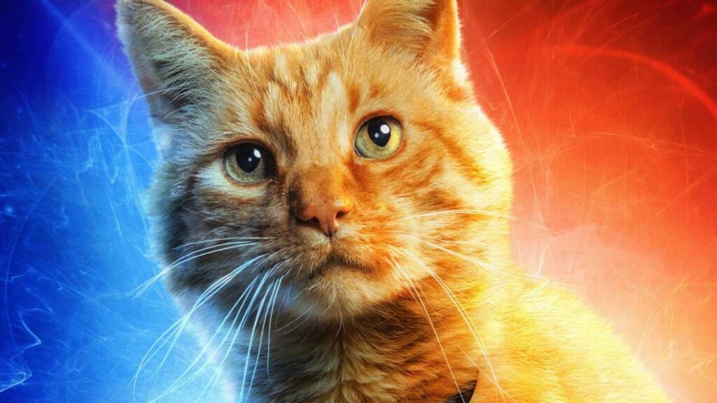 goose captain marvel chat