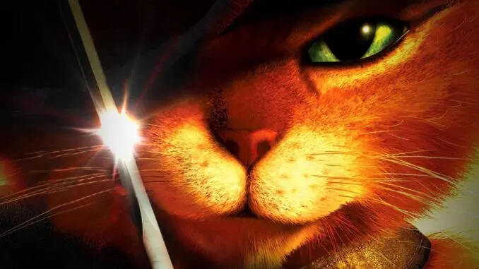 Quiz Chats Dans Les Films Pink Corn