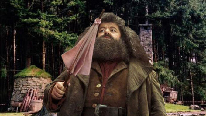 quiz hagrid