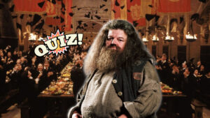 Lire la suite à propos de l’article L’ultime quiz sur Hagrid (Harry Potter)