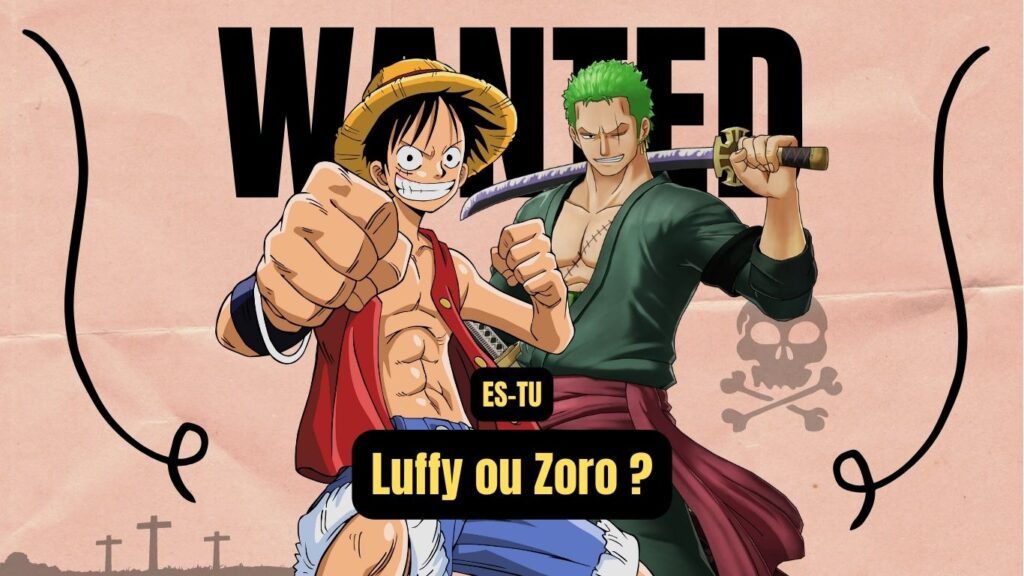 Qui Es Tu Dans One Piece