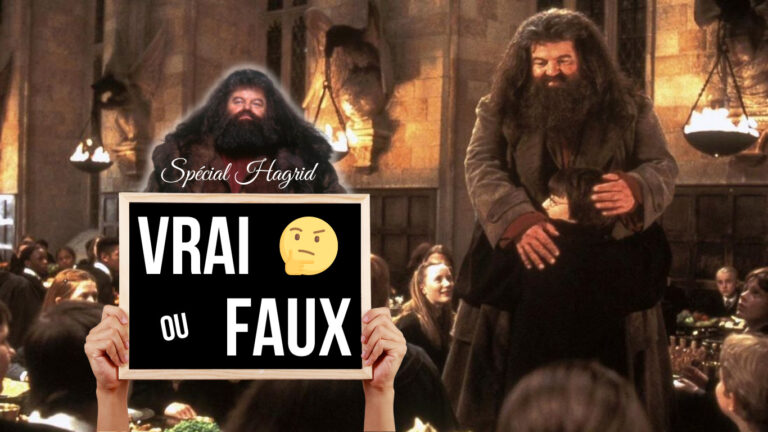 Lire la suite à propos de l’article Impossible d’avoir 10/10 à ce vrai ou faux sur Hagrid