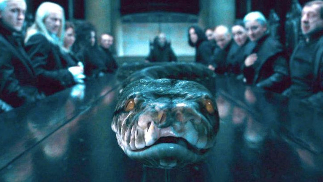 You are currently viewing Harry Potter : un nouvel animal porte le nom d’un personnage