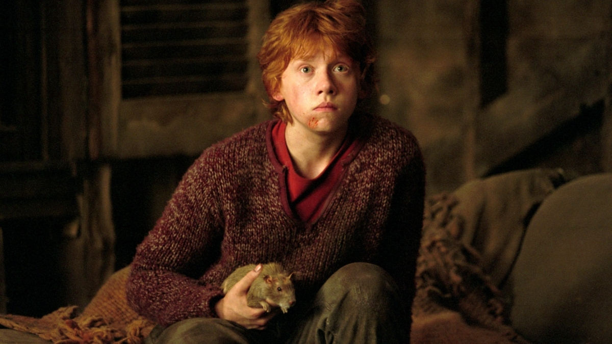 Ron Weasley tenant son rat Croutard dans les mains
