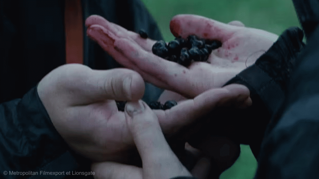 le sureau mortel dans les mains de Katniss